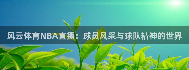 风云体育NBA直播：球员风采与球队精神的世界