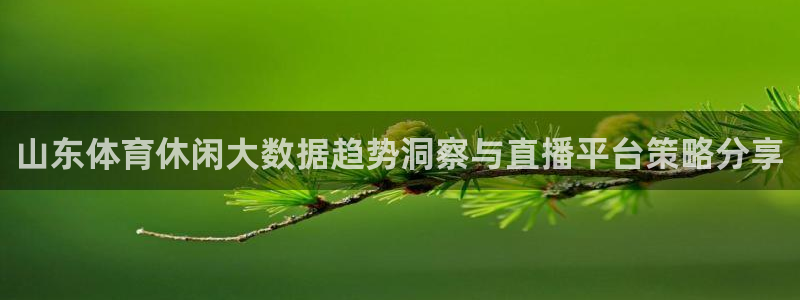 山东体育休闲大数据趋势洞察与直播平台策略分享