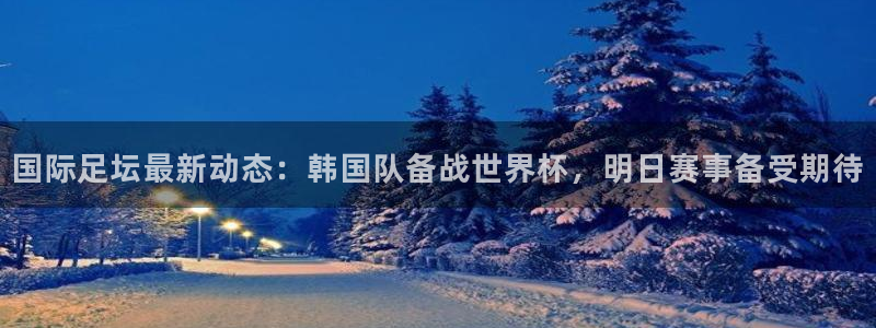 国际足坛最新动态：韩国队备战世界杯，明日赛事备受期待