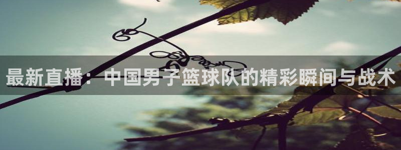 最新直播：中国男子篮球队的精彩瞬间与战术