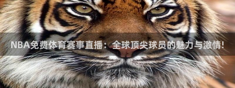 NBA免费体育赛事直播：全球顶尖球员的魅力与激情!