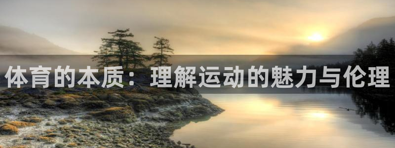 体育的本质：理解运动的魅力与伦理