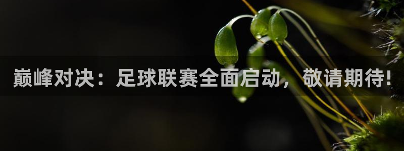 巅峰对决：足球联赛全面启动，敬请期待!