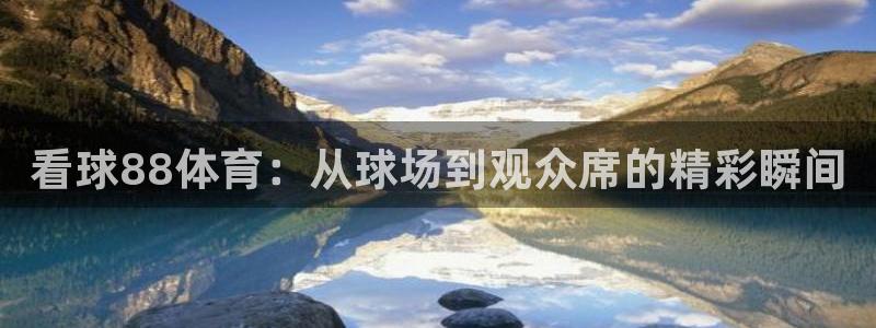 看球88体育：从球场到观众席的精彩瞬间