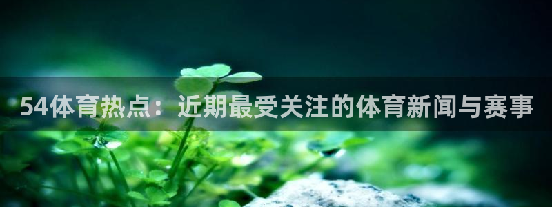 54体育热点：近期最受关注的体育新闻与赛事